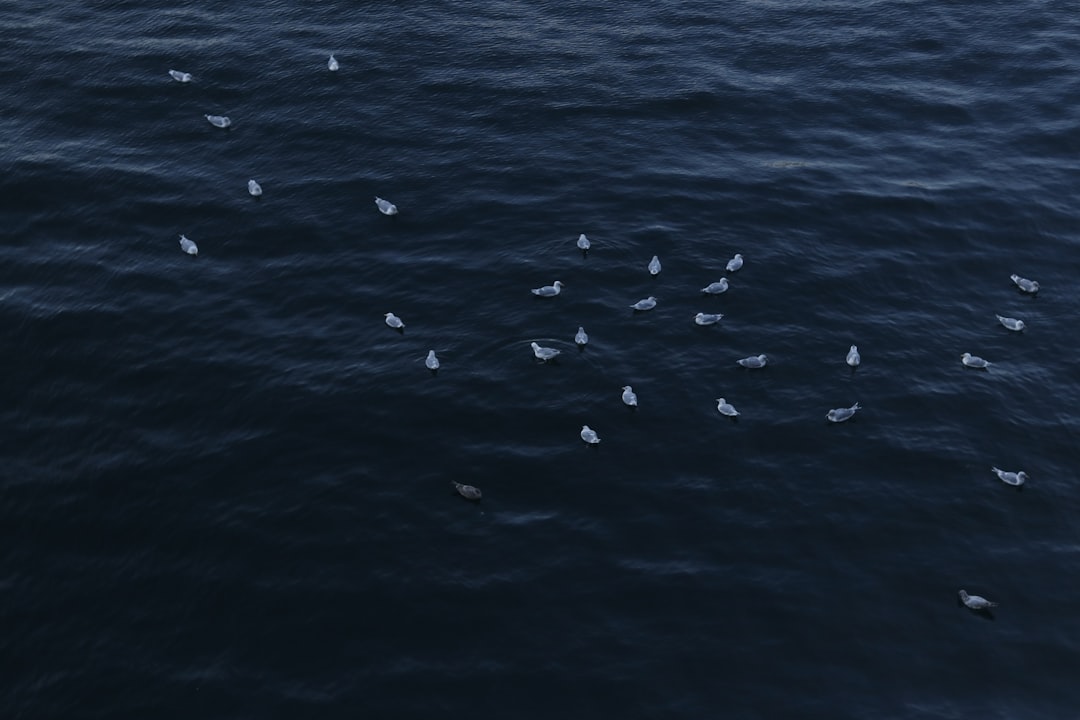 Kryzys migracyjny: skuteczne rozwiązania